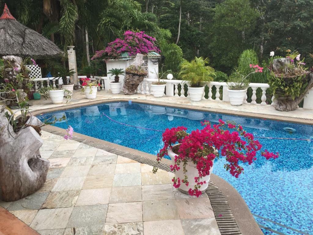 Casa Doro Villa Glacis  Dış mekan fotoğraf
